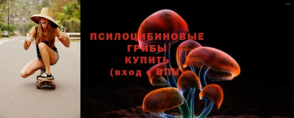 PSILOCYBIN Новокубанск