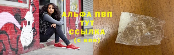 PSILOCYBIN Новокубанск