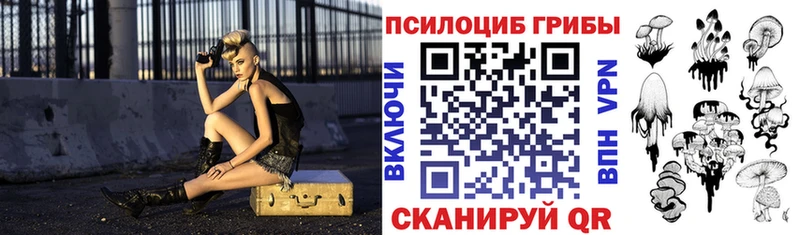 Купить  Хабаровск  Галлюциногенные грибы Psilocybine cubensis 